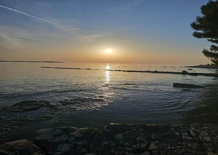 Apartment, 100m From The Appartement *