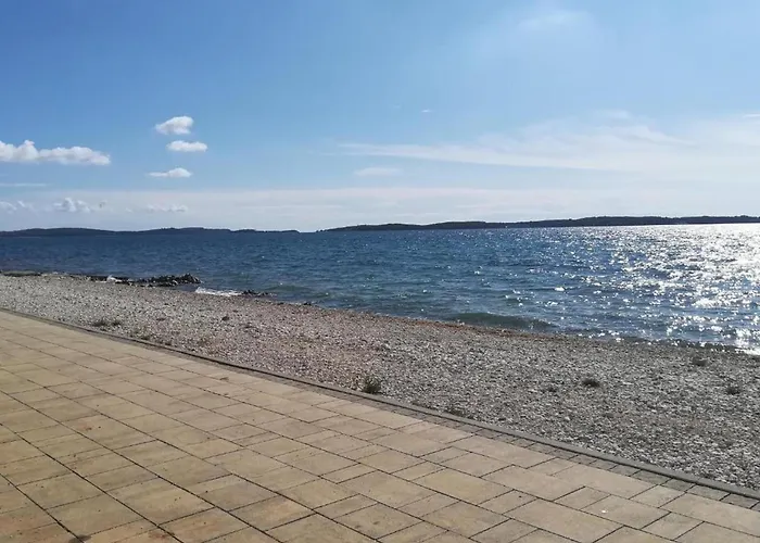 Apartment, 100m From The *