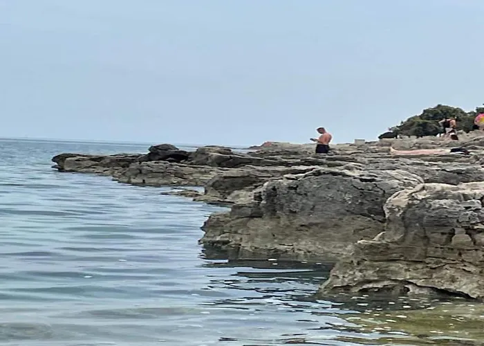 Apartment, 100m From The Appartement *