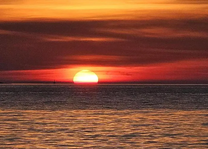 Apartment, 100m From The *