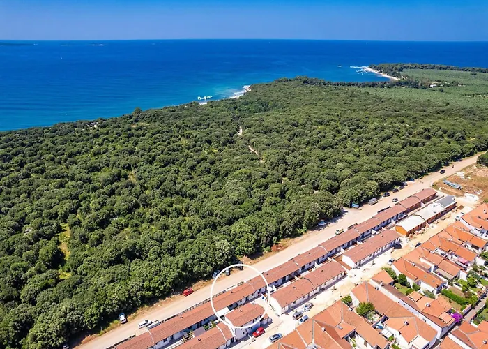 Appartement Apartment, 100m From The