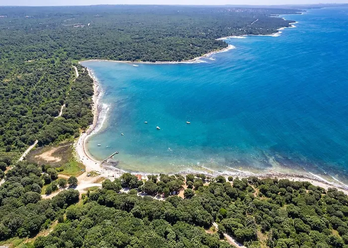 Apartment, 100m From The