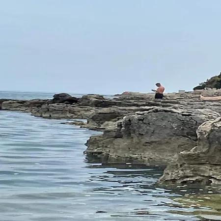 Apartment, 100m From The Apartamento *