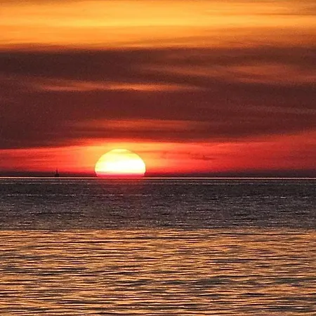 Apartment, 100m From The *