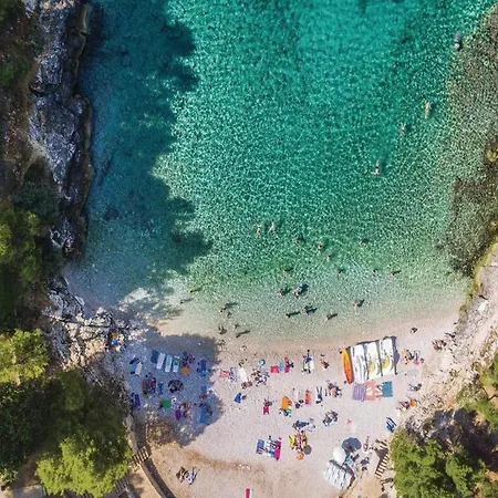 Apartment, 100m From The Apartamento