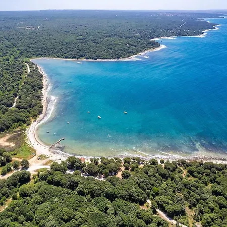 Apartment, 100m From The